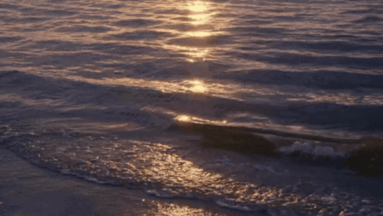 sun on the tide